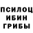 Псилоцибиновые грибы мицелий Stanley Kuria