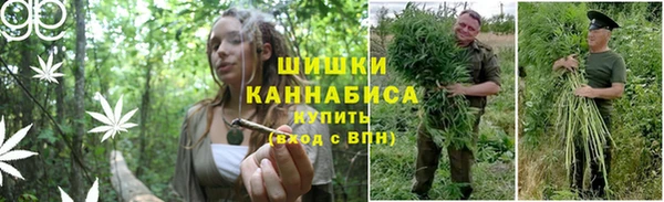 PSILOCYBIN Балахна