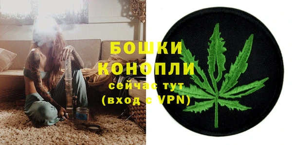 дмт Богородицк